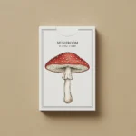 Mushroom Boxes Wholesale